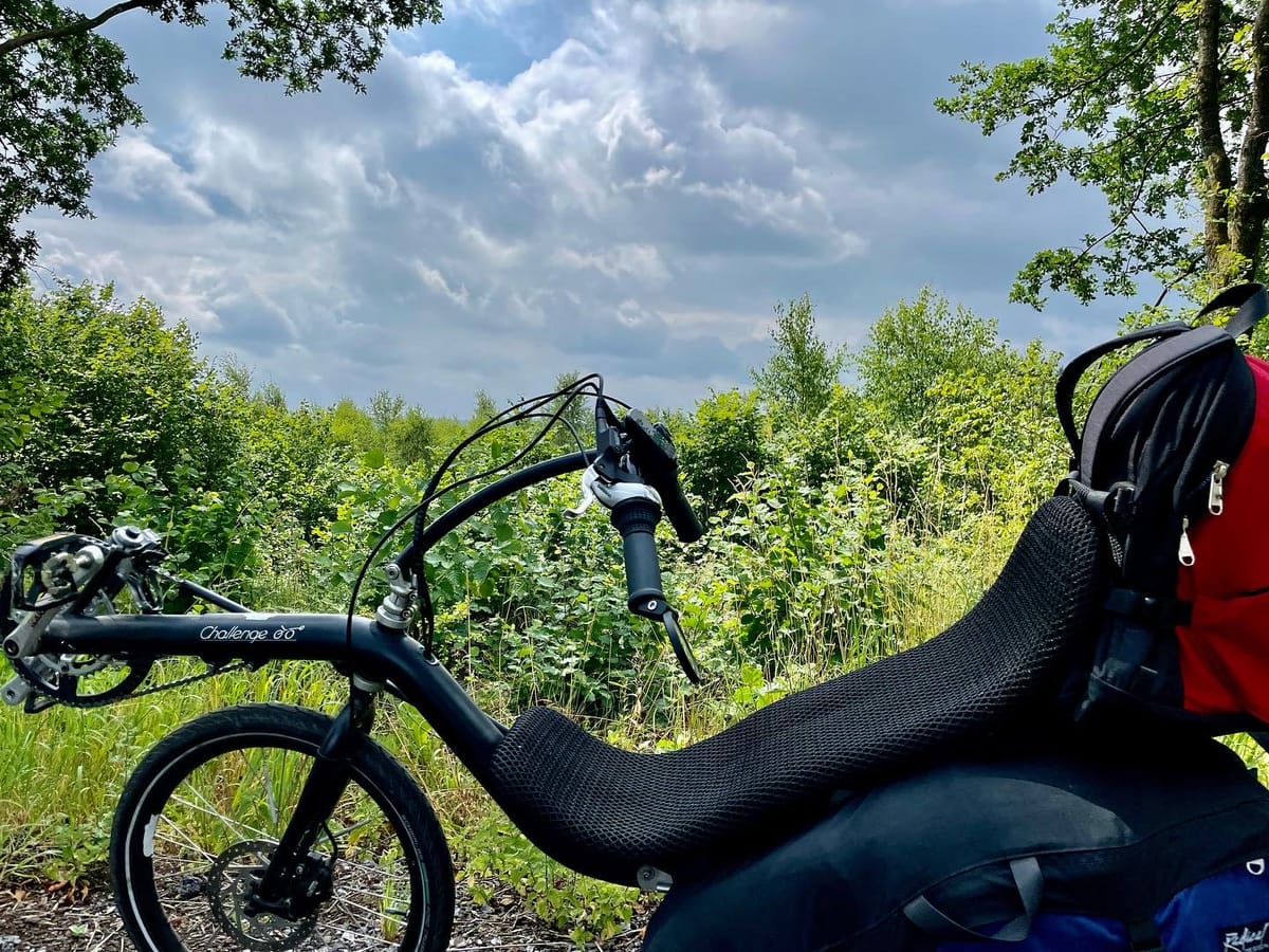 Morbi ut laoreet risus